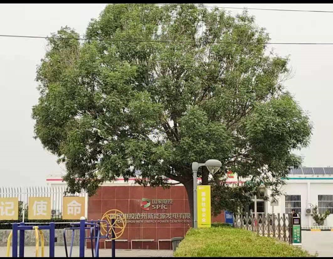 国家电投集团沧州新能源发电有限公司海滨光伏电站职业病危害定期检测图像、影像